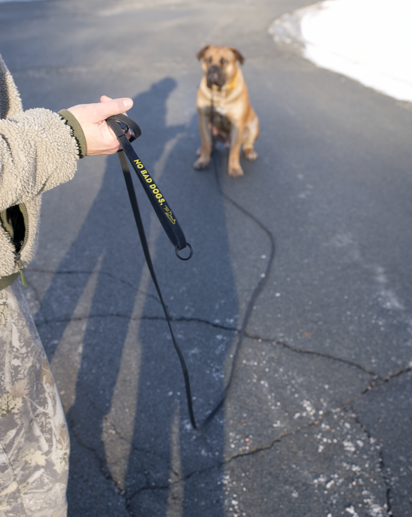 Pro 15-foot Long Line