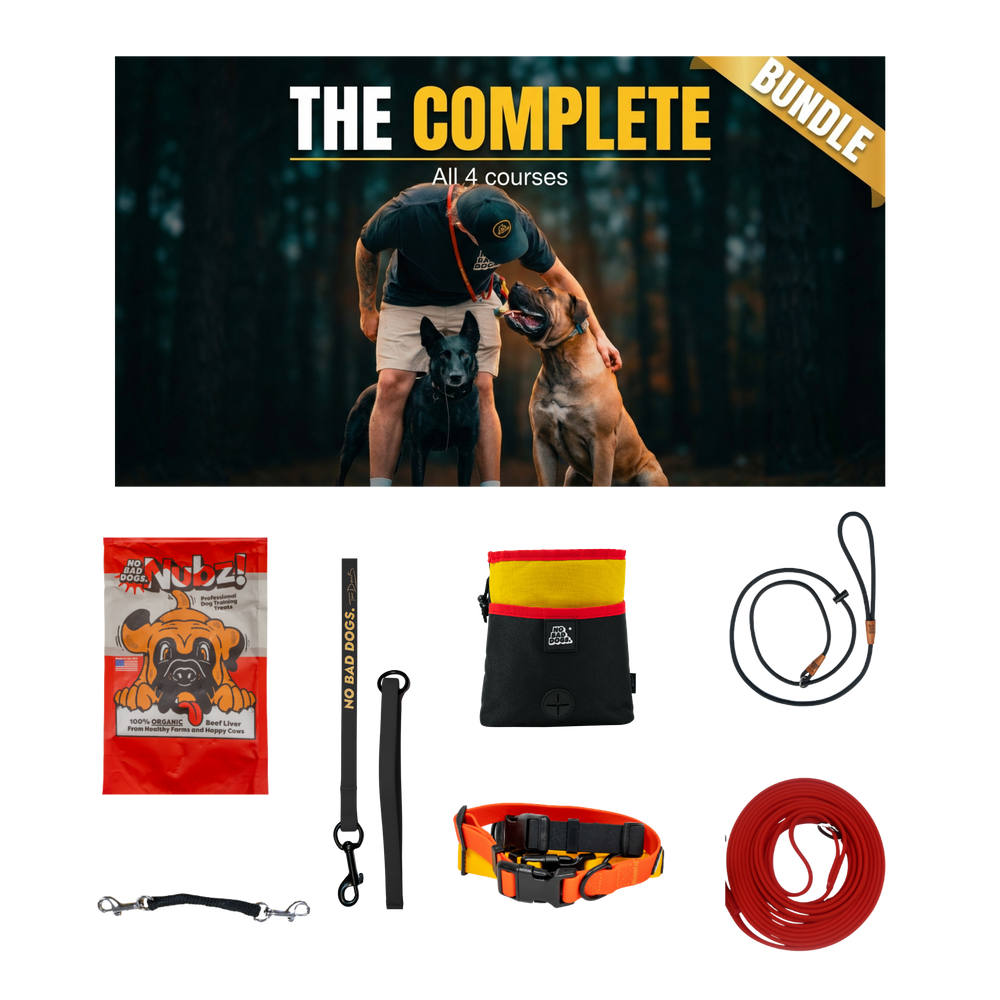 Complete Training System