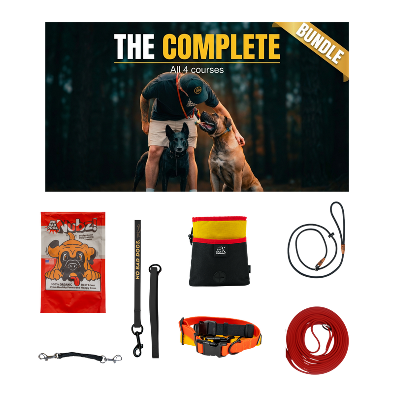 Course + Gear Bundles