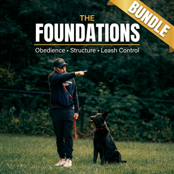 The Foundations Bundle