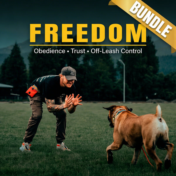 The Freedom Bundle
