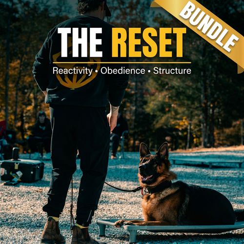 The Reset Bundle