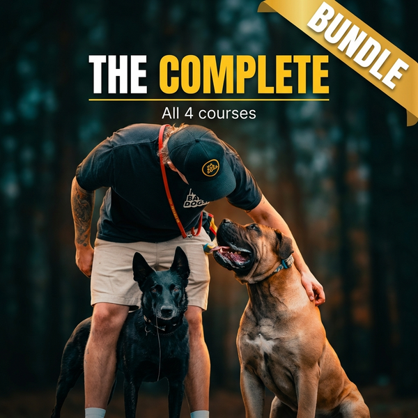 The Complete Course Bundle