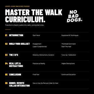 Master The Walk Course