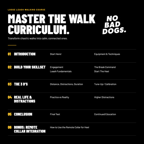 Master The Walk Course