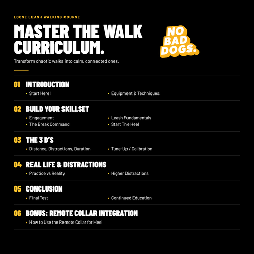 Master The Walk Course