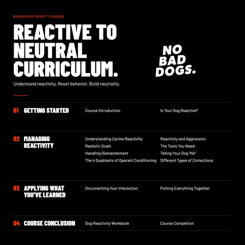Reactive to Neutral Course