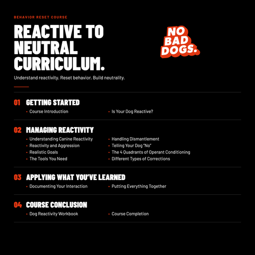 Reactive to Neutral Course