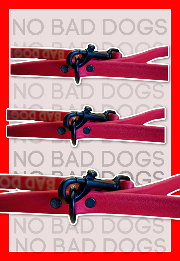 Professional Dog Training Leash - Signature Series